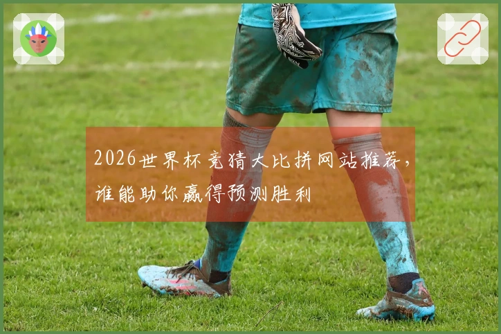 2026世界杯竞猜大比拼网站推荐，谁能助你赢得预测胜利