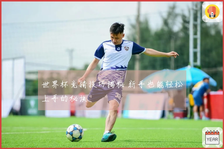 世界杯竞猜技巧揭秘 新手也能轻松上手的秘诀