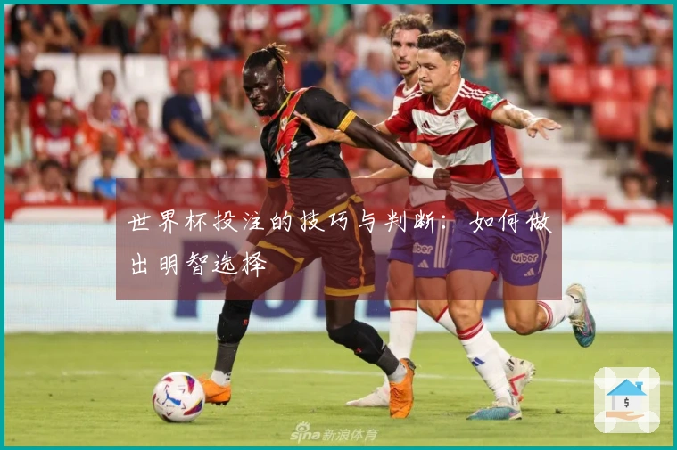 世界杯投注的技巧与判断：如何做出明智选择