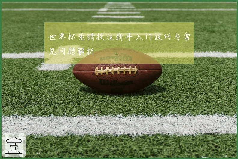 世界杯竞猜投注新手入门技巧与常见问题解析