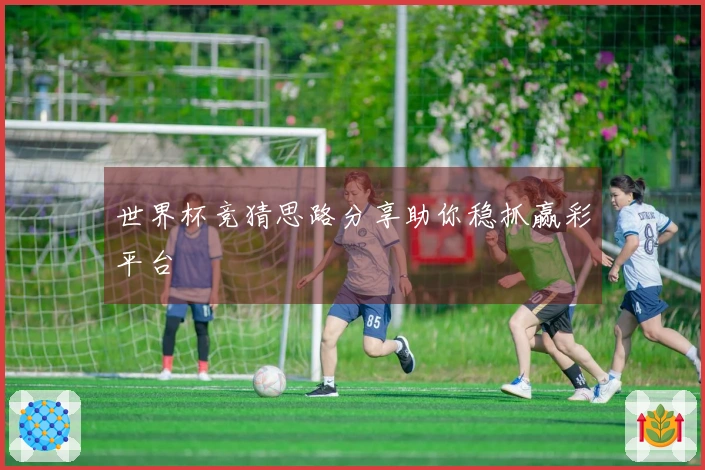 世界杯竞猜思路分享助你稳抓赢彩平台