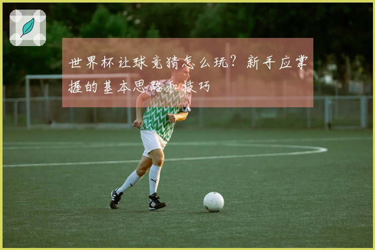 世界杯让球竞猜怎么玩？新手应掌握的基本思路和技巧