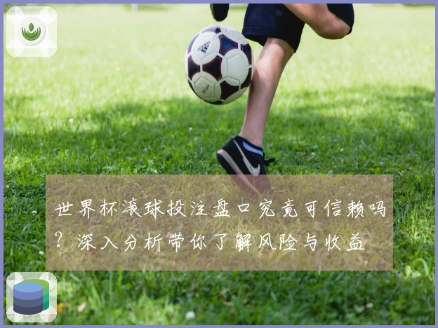 世界杯滚球投注盘口究竟可信赖吗？深入分析带你了解风险与收益