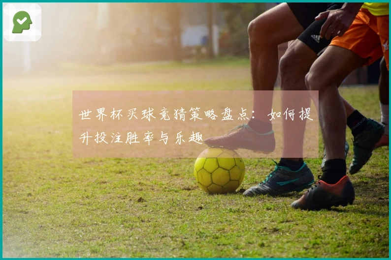 世界杯买球竞猜策略盘点：如何提升投注胜率与乐趣