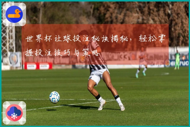 世界杯让球投注秘诀揭秘，轻松掌握投注技巧与策略