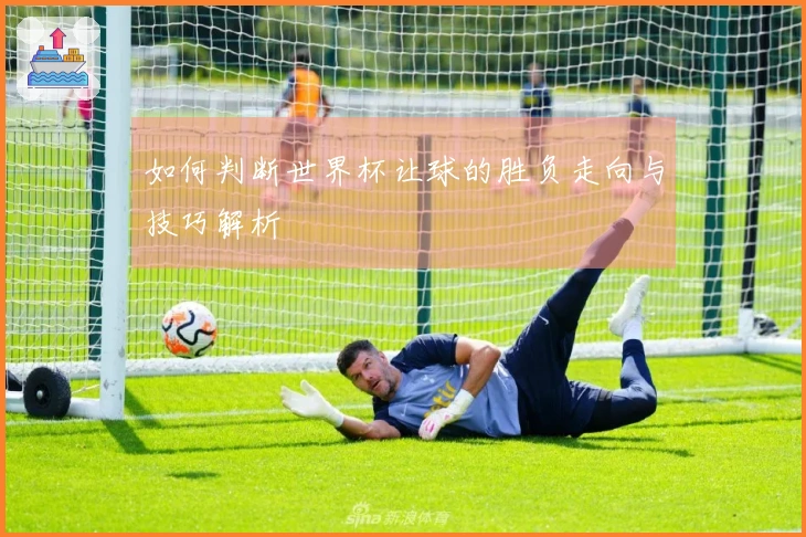 如何判断世界杯让球的胜负走向与技巧解析